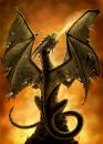 Prot�ges Cartes Yu-Gi-Oh! Neo Sleeves - Dragon De Feu