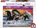 Chevaux - Equitation Schmidt Au Cr�puscule