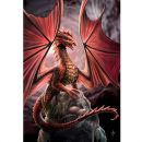 Prot�ges Cartes Format JAP Yu-Gi-Oh! Neo Sleeves - Dragon's Lair