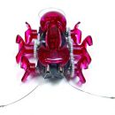 Ant HEXBUG Fourmi Rouge