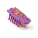 Nano HEXBUG Puce Newton Orbit Violette