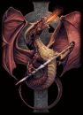 Prot�ges Cartes Format JAP  Neo Sleeves - Dragon Celtique