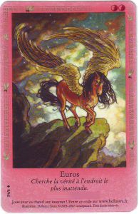 Cartes Sp�ciales Euros - Carte Promo 2009