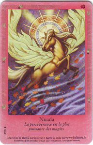 Cartes Sp�ciales Nuada - Carte Promo 2009