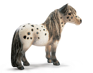 Chevaux - Equitation Falabella