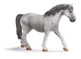 Chevaux - Equitation Jument Lipizzan