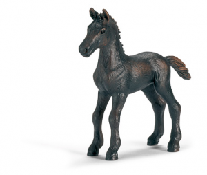 Chevaux - Equitation Poulain Frison
