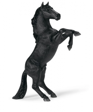 Chevaux - Equitation Mustang Noir Se Cabrant