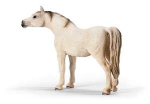 Chevaux - Equitation Jument Arabe