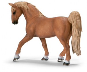 Chevaux - Equitation Etalon Tennessee Walking Horse