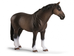 Chevaux - Equitation Etalon Hanovre