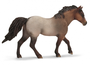 Chevaux - Equitation Quarter