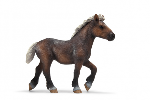 Chevaux - Equitation Poulain For�t Noire