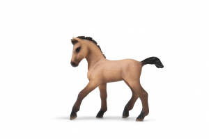 Chevaux - Equitation Poulain Andalou