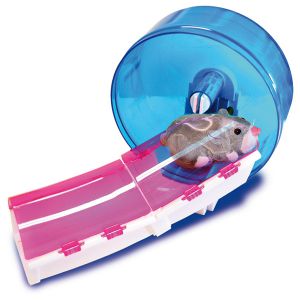 Playset Deluxe Roue + Tunel