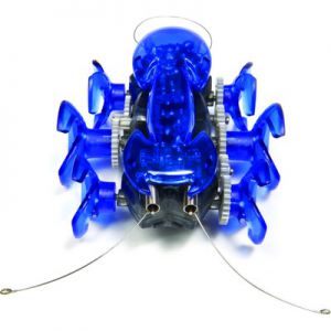 Ant Fourmi Bleue